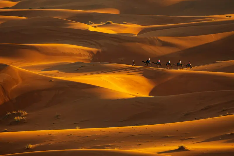 Carovana di cammelli tra le dune dorate dell'Erg Chebbi a Merzouga